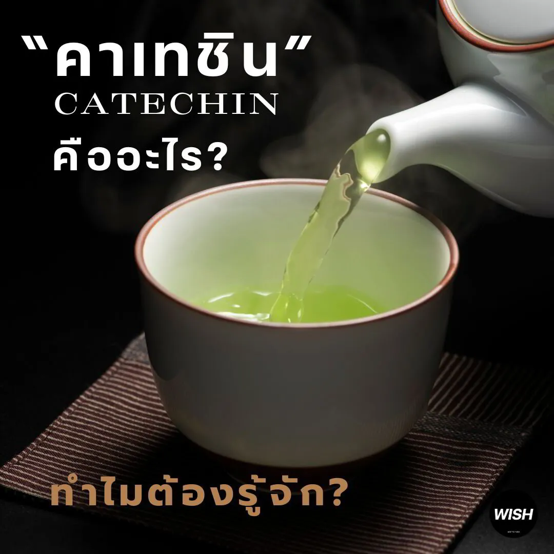 🍵'คาเทชิน' (Catechin) : ฮีโร่ในชาเขียวที่คนรักสุขภาพยุคนี้ต้องรู้จัก!